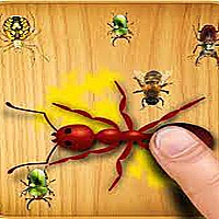 Ants Touch Game Cover