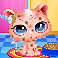 Cute Kitty Care Game Cover